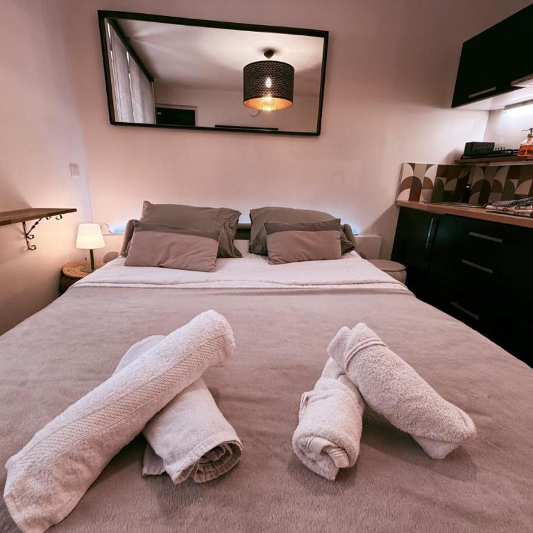 Le Secret de Sainte-Anne Écusson vaulted suite - Apartment mit 1 Schlafzimmer - 7