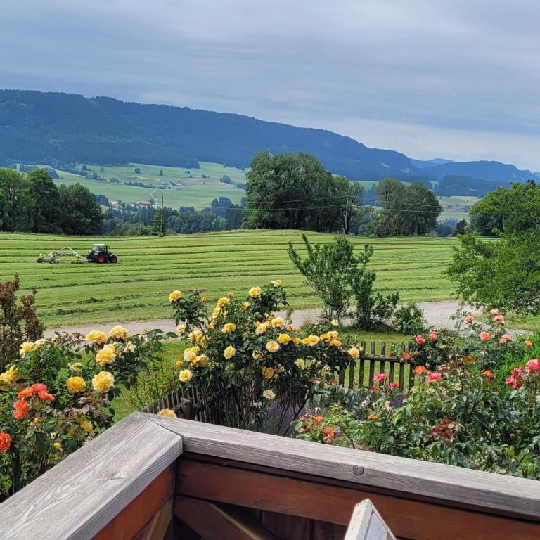 Henninghof - Ferienhaus - 18