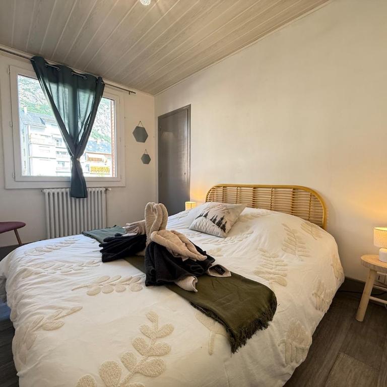 Le Flocon Parking Centre Ville Proche Gare - Appartement 2 Chambres - 13