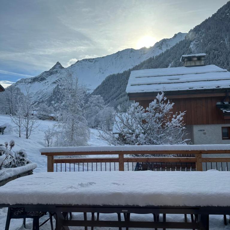 Chalet les Niverolles PARADISKI - Chalet - 11