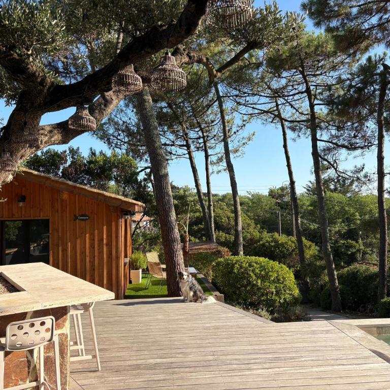 Villa horizon cap ferret - Villa - 27