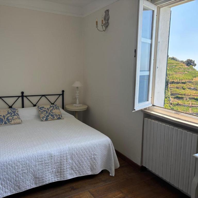 Villa Serra - amazing sea view AC and parking - Casa Vacanze - 27