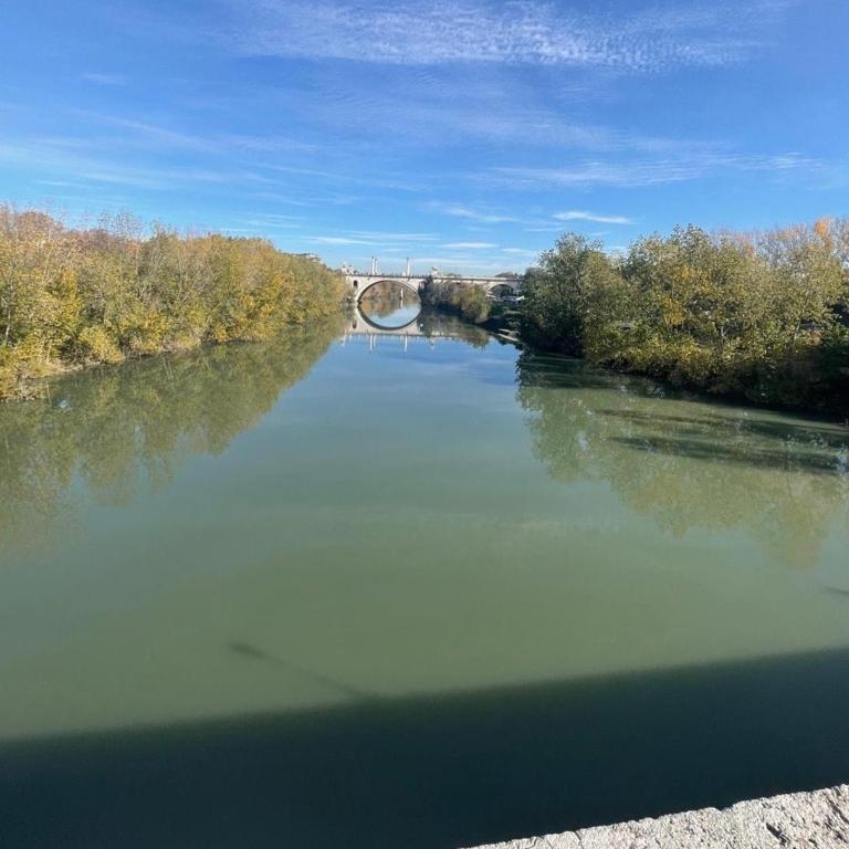 Ponte Milvio Rooftop Terrace - Appartamento con 1 Camera da Letto - 27