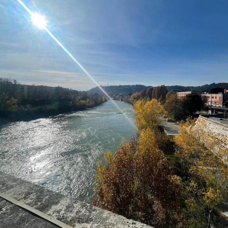 Ponte Milvio Rooftop Terrace - Appartamento con 1 Camera da Letto - 28