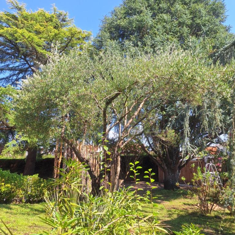 La Tourelle, demeure de charme, piscine, billard, grand jardin - Villa Supérieure - 31