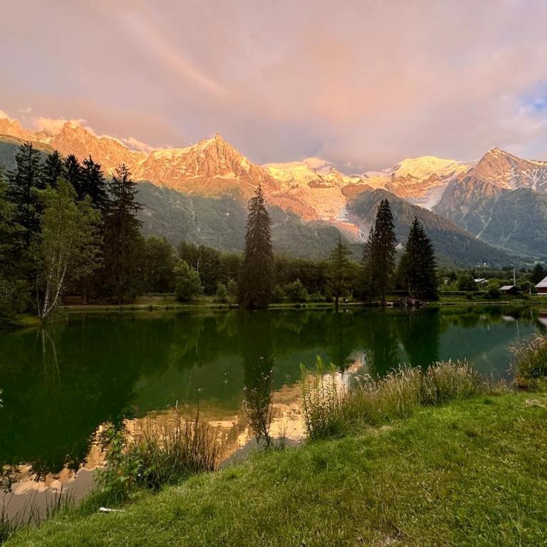 Chamonix Apartment with Mont View - Appartement 1 Chambre - 11