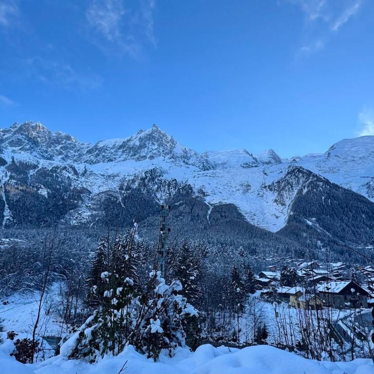 Chamonix Apartment with Mont View - Appartement 1 Chambre - 43