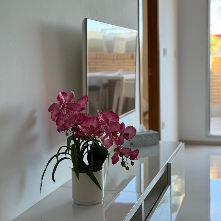 Mia Casa Torrevieja apartament - Apartamento de 2 dormitorios - 58