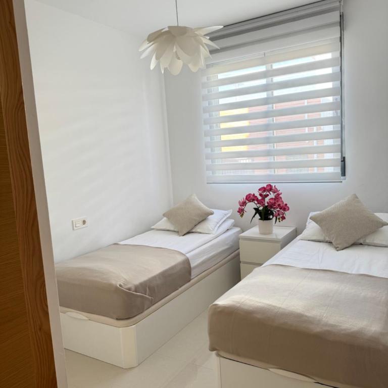 Mia Casa Torrevieja apartament - Apartamento de 2 dormitorios - 65