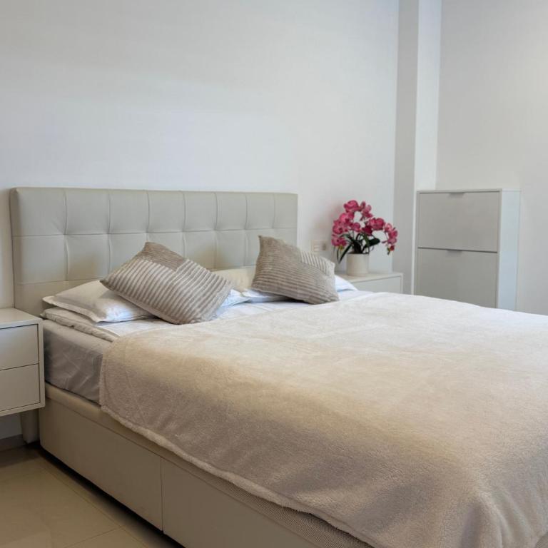 Mia Casa Torrevieja apartament - Apartamento de 2 dormitorios - 66