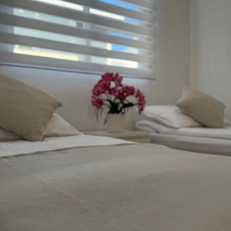 Mia Casa Torrevieja apartament - Apartamento de 2 dormitorios - 73