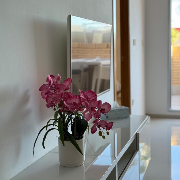 Mia Casa Torrevieja apartament - Apartamento de 2 dormitorios - 10