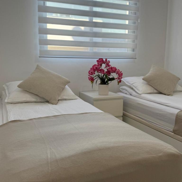 Mia Casa Torrevieja apartament - Apartamento de 2 dormitorios - 5