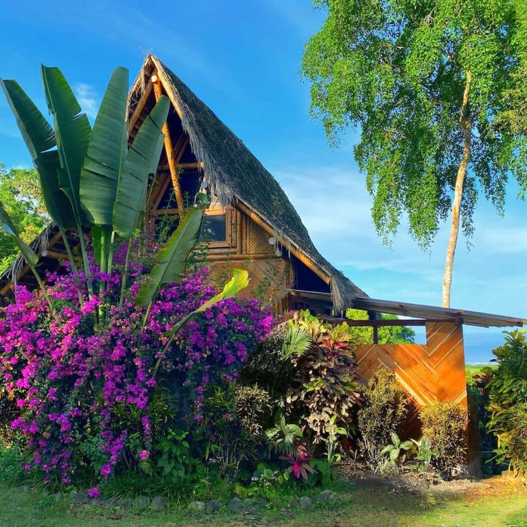 Cabin with incredible ocean and rainforest views - One-Bedroom House - 1
