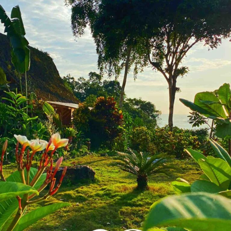 Cabin with incredible ocean and rainforest views - One-Bedroom House - 4