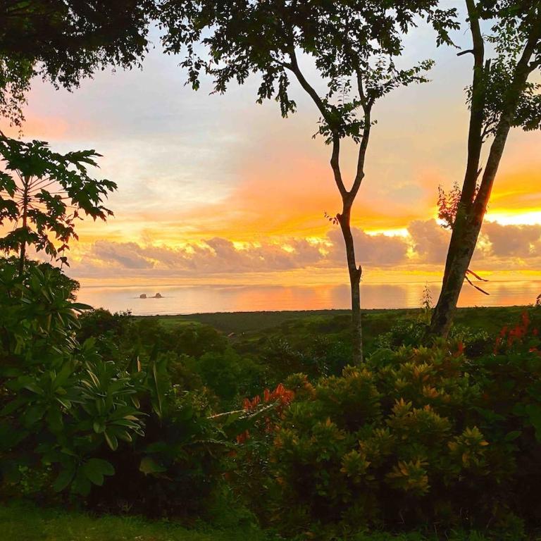 Cabin with incredible ocean and rainforest views - One-Bedroom House - 8