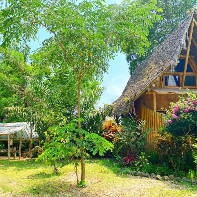 Cabin with incredible ocean and rainforest views - One-Bedroom House - 10