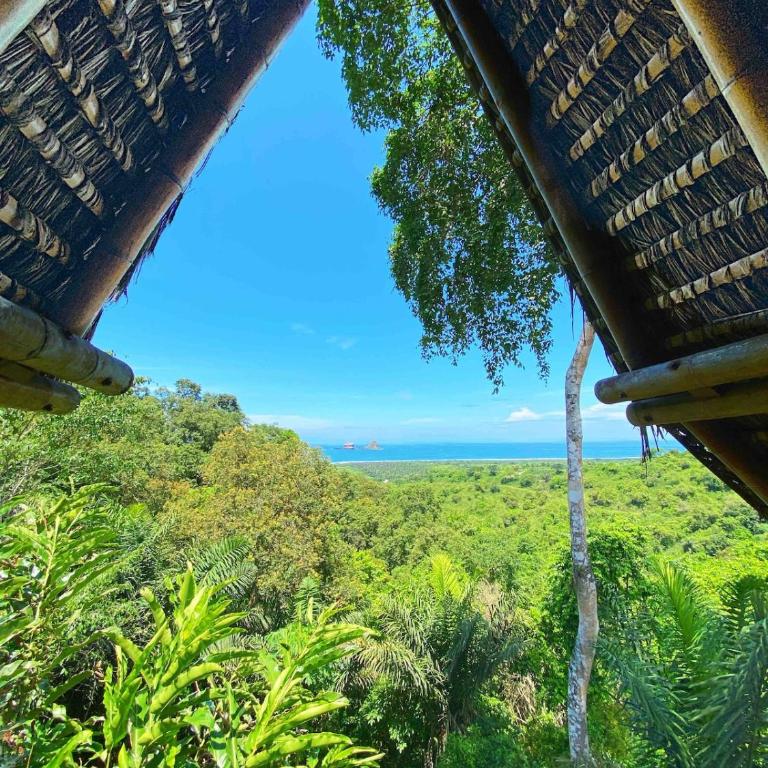 Cabin with incredible ocean and rainforest views - One-Bedroom House - 11