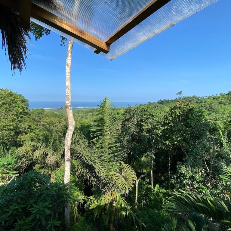 Cabin with incredible ocean and rainforest views - One-Bedroom House - 16
