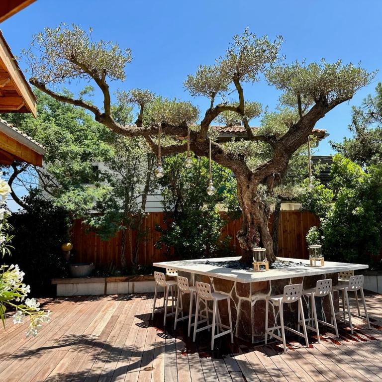 Villa horizon cap ferret - Villa - 19