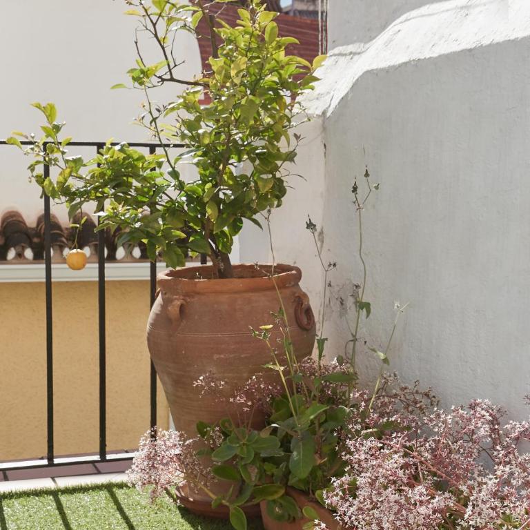 Solarium Central Beach Terrace 160m2 - Appartamento con 3 Camere da Letto e con Balcone - 28