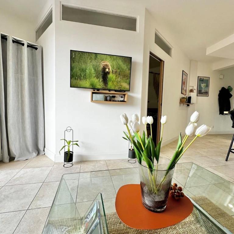 Casamea - Studio, Parking, WiFi, Clim, Ajaccio - Appartement - 6