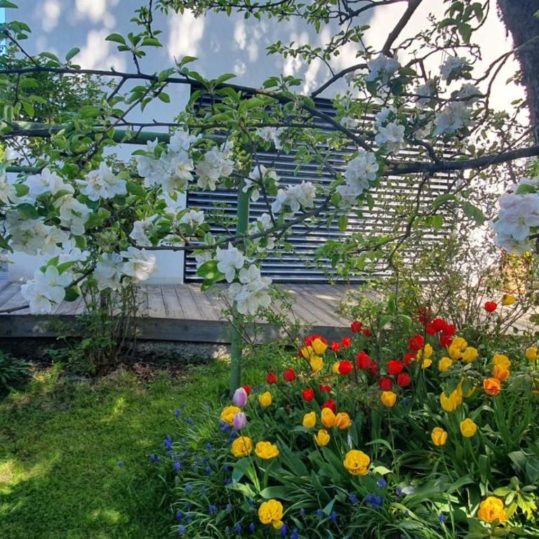 Beim Birnbaum - Apartment mit 2 Schlafzimmern - 4