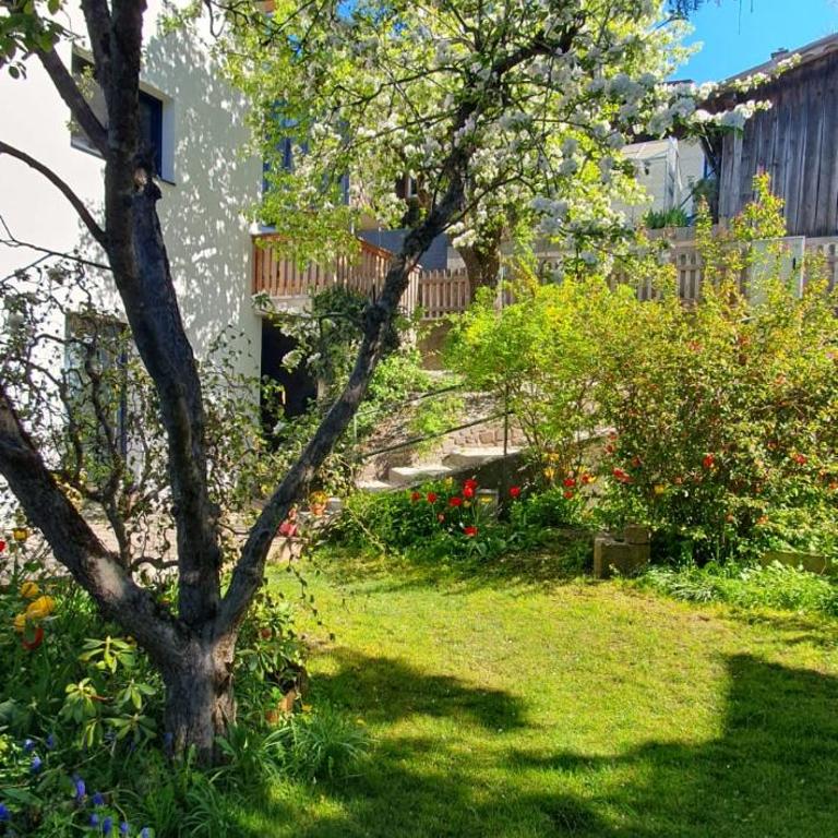Beim Birnbaum - Apartment mit 2 Schlafzimmern - 14