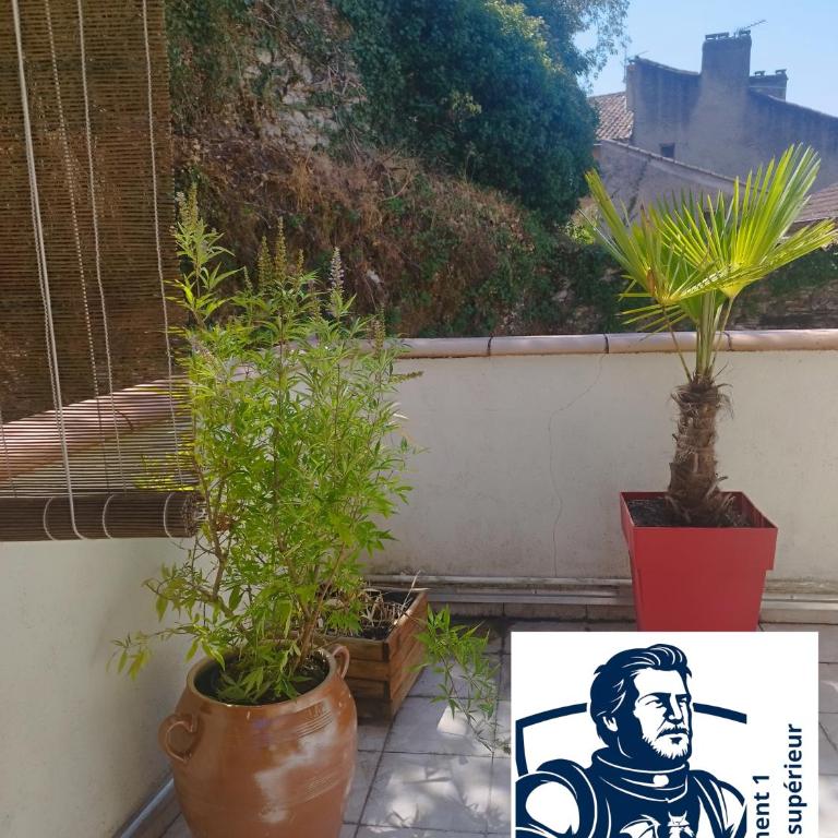 Par Saint Georges ! - Appartement 1 Chambre Supérieur - 23