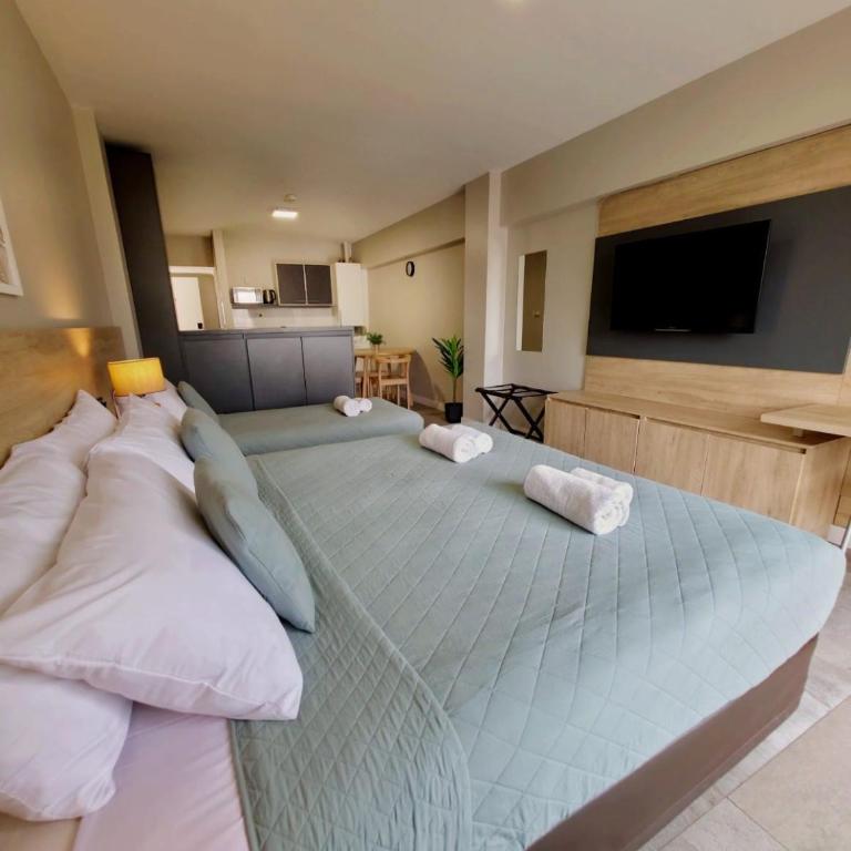 Soltigua Apart Hotel Mendoza - Apartamento Estudio - 4