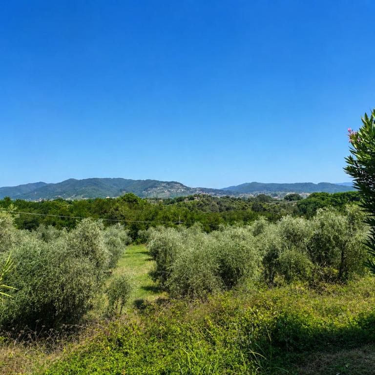 Tenuta Gaetano Spadaro - Appartamento Superior con 1 Camera da Letto - 4