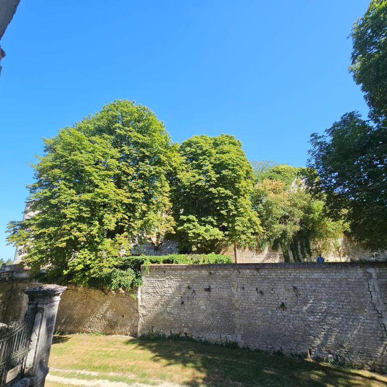 Aux grilles du Château de Saint-Aignan, à 2km de Beauval, les maisons de Sidonie et Léonard - La Maison de Sidonie - 36