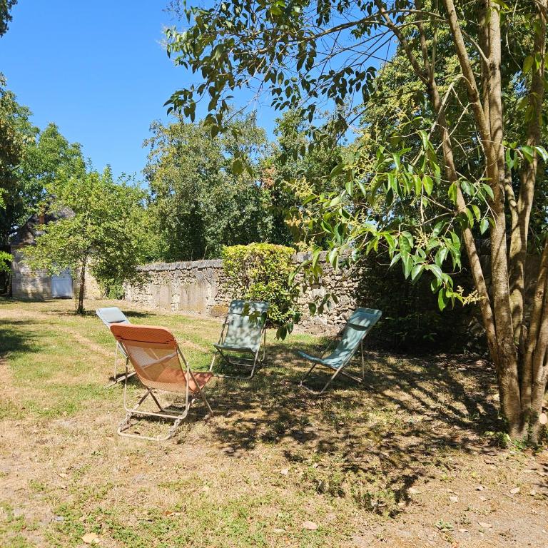 Aux grilles du Château de Saint-Aignan, à 2km de Beauval, les maisons de Sidonie et Léonard - La Maison de Léonard - 16