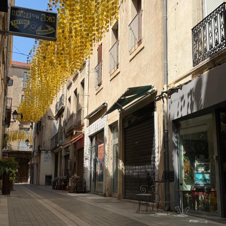 Duplex de charme 80 m2 tout équipé dans le centre historique piéton - Appartamento con 2 Camere da Letto - 24