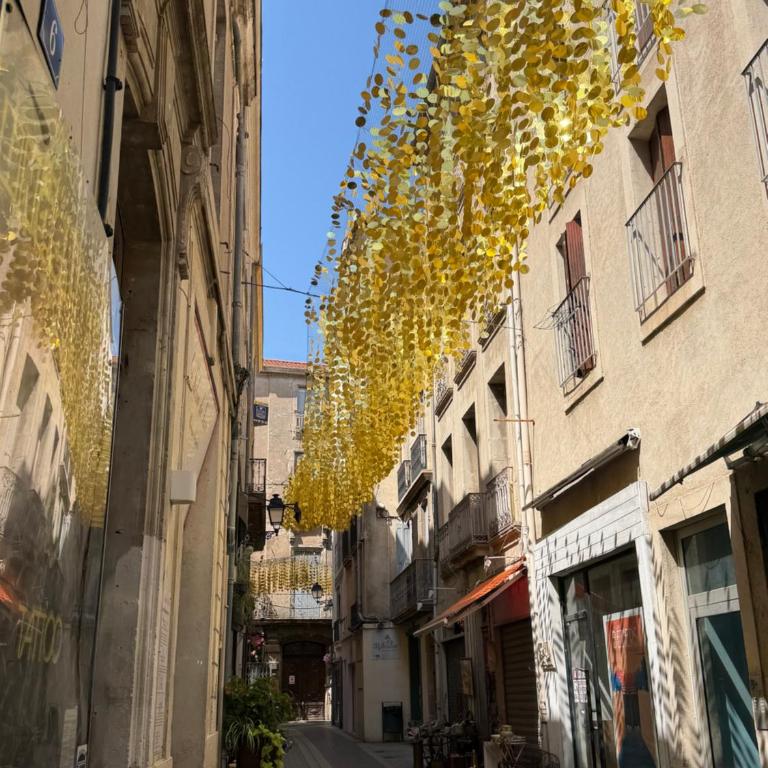 Duplex de charme 80 m2 tout équipé dans le centre historique piéton - Appartamento con 2 Camere da Letto - 23