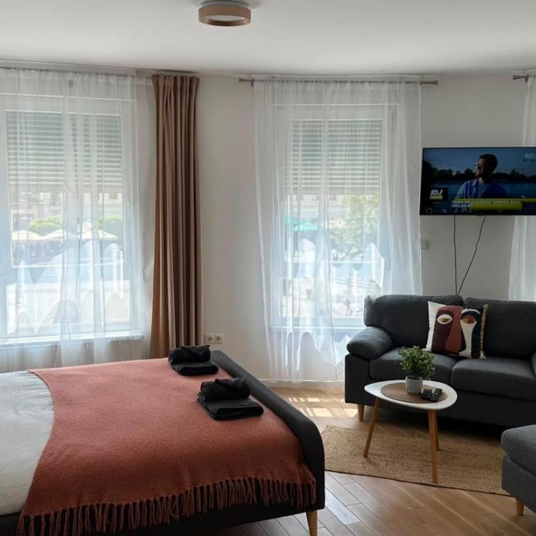 Apartman M&M - Apartman sa 1 Spavaćom Sobom - 12