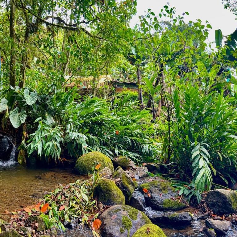 Chalet at Finca La Preciosa, Jardín, Antioquia - Chalet de 1 dormitorio - 41