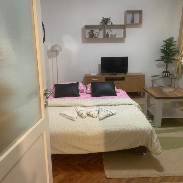 Koševo Cozy Studio - Appartement 1 Chambre - 4