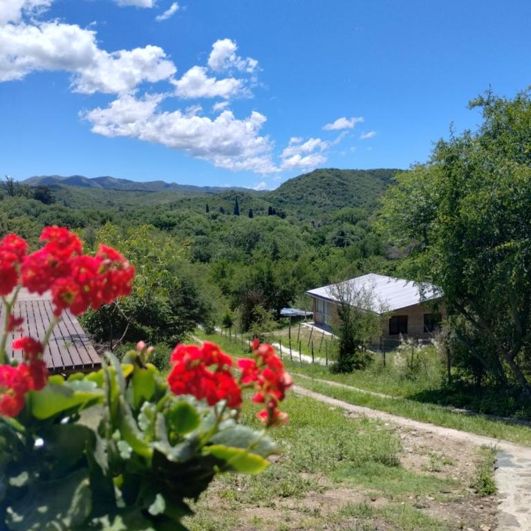 La Calandria - Chalet de 3 dormitorios - 11