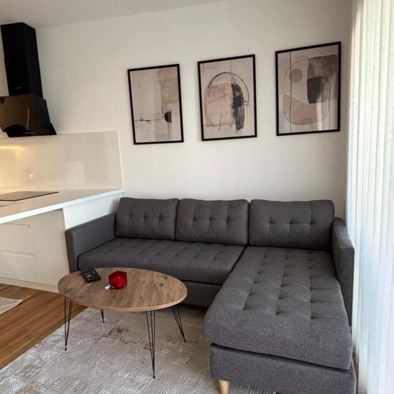 Gate Studio Sarajevo Near Airport - Appartement 1 Chambre - 2