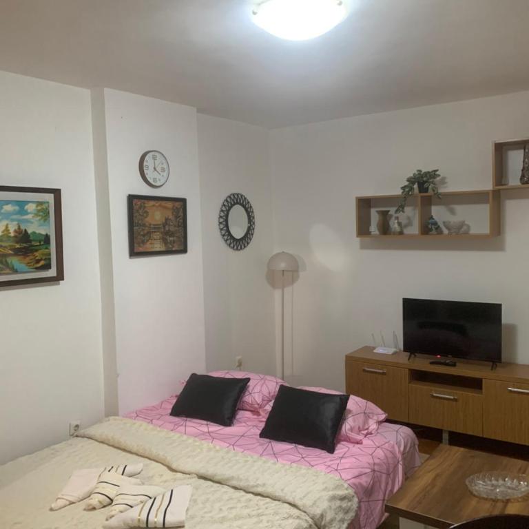 Koševo Cozy Studio - Appartement 1 Chambre - 8