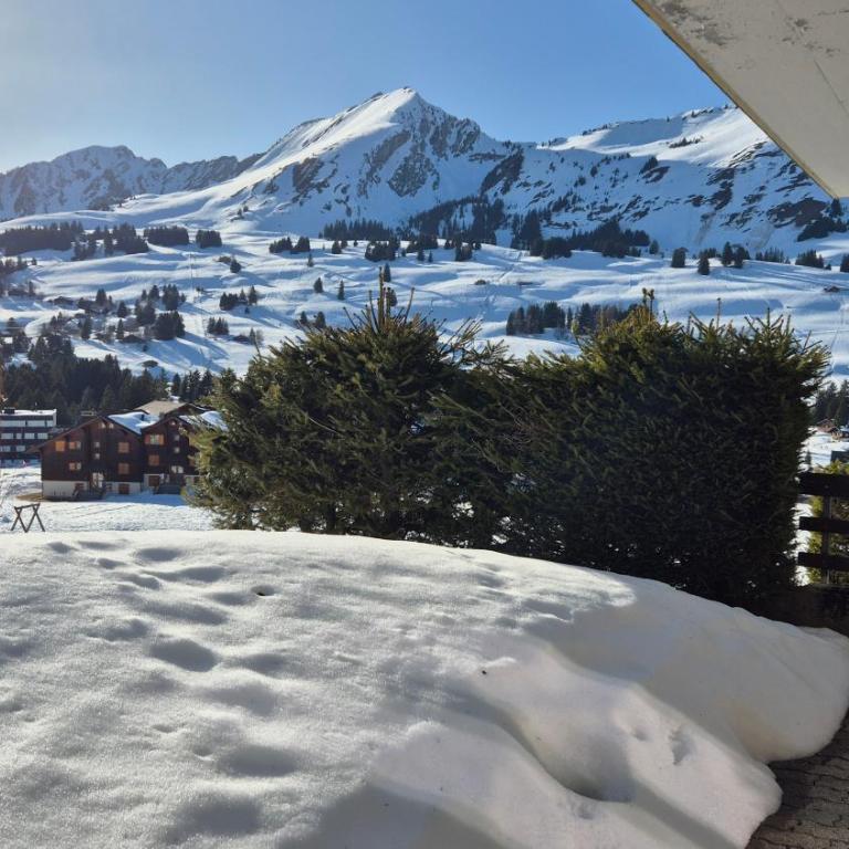 Pépite des Mosses - Apartment mit 2 Schlafzimmern - 15