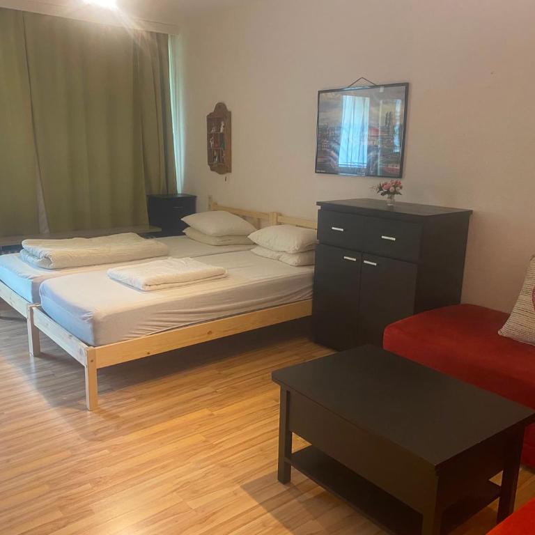 Grubhof - Apartamento Estudio con vistas a la montaña - 18