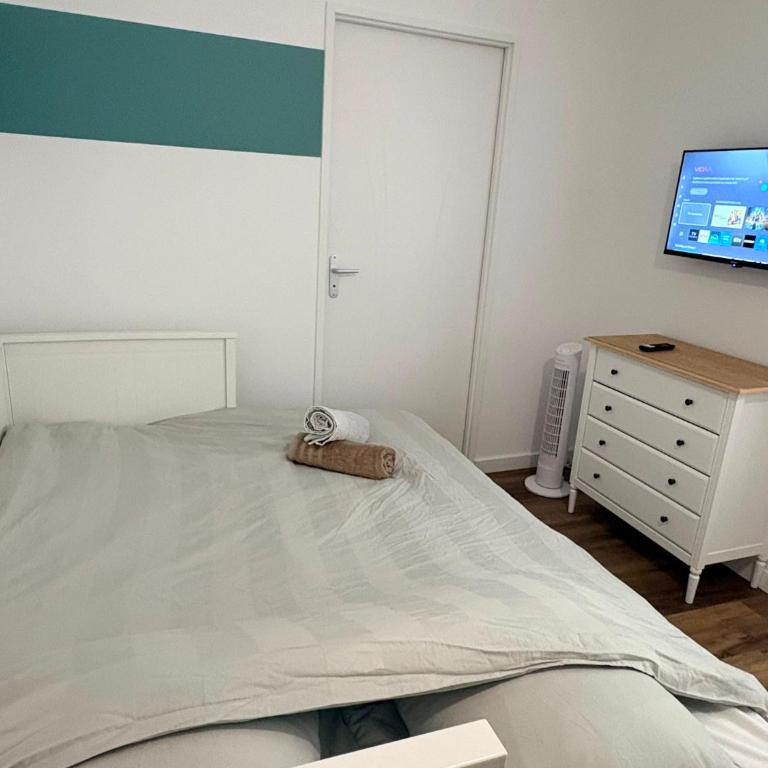 Charmant studio au RDC près du Rhône & ViaRhôna - Appartement 1 Chambre - 2