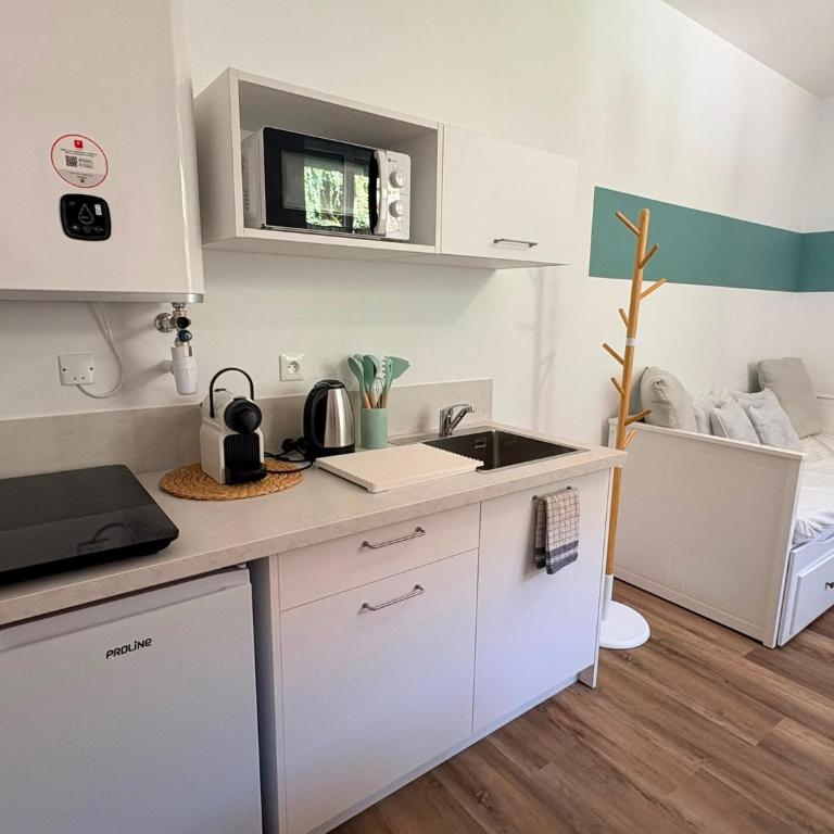 Charmant studio au RDC près du Rhône & ViaRhôna - Appartement 1 Chambre - 13