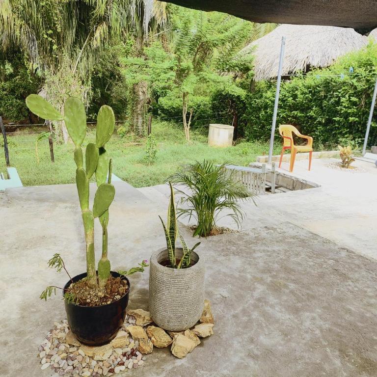 Serena Grau - Three-Bedroom House - 14