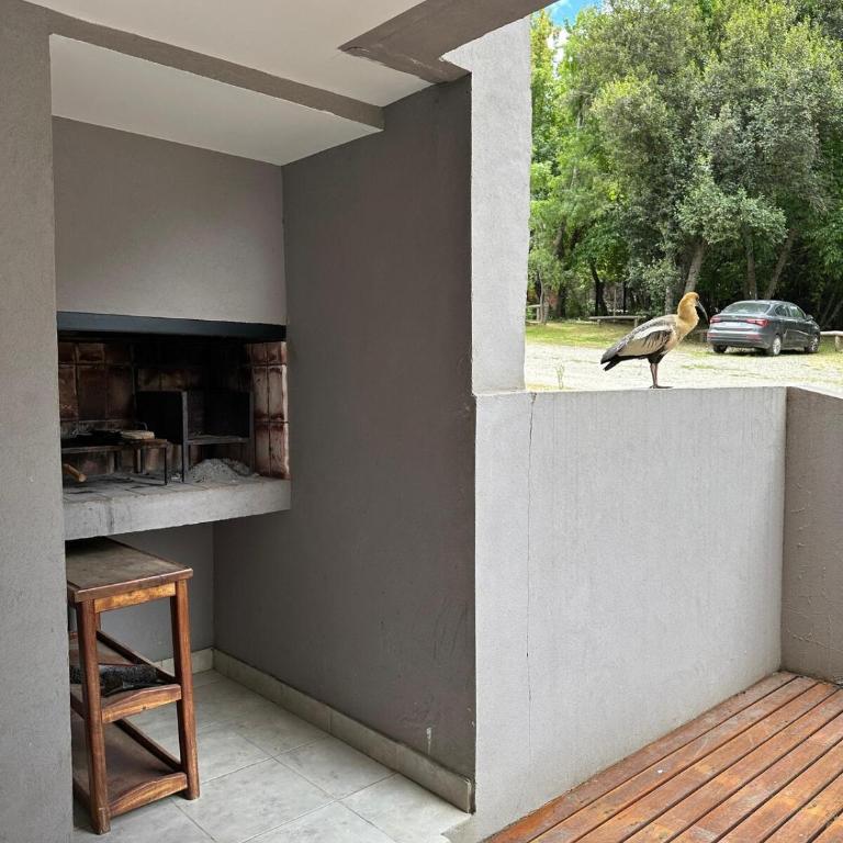 Bosque del Nahuel, Apartamento en Bariloche - Apartamento de 2 dormitorios - 9