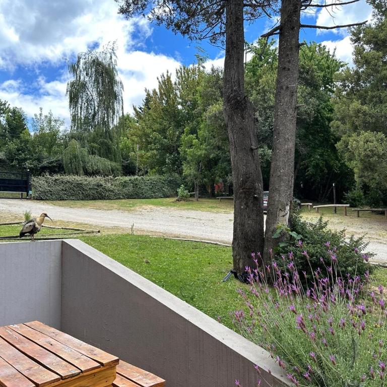 Bosque del Nahuel, Apartamento en Bariloche - Apartamento de 2 dormitorios - 17