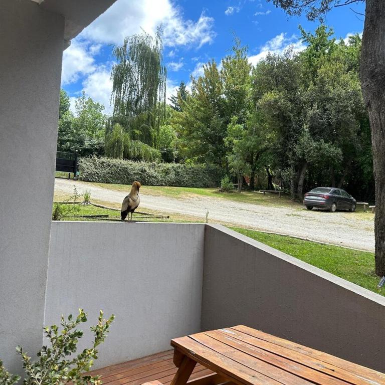 Bosque del Nahuel, Apartamento en Bariloche - Apartamento de 2 dormitorios - 36
