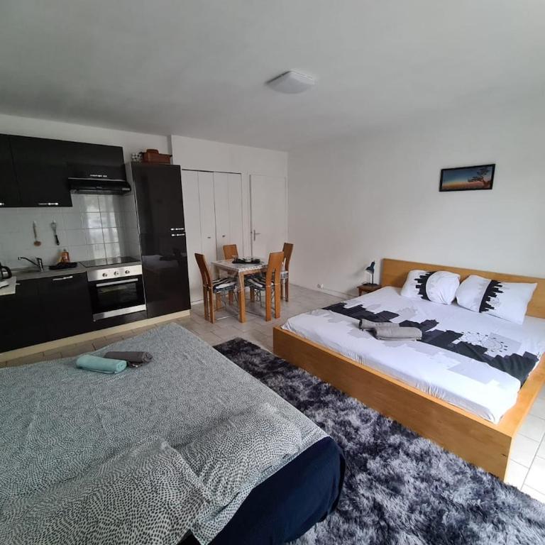 Le Beaujardin coloré - Appartement 1 Chambre - 11